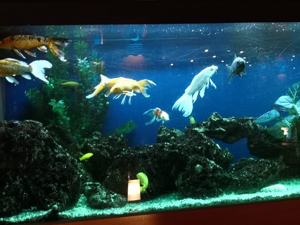 Sonstiges Limak Limra Hotel & Resort