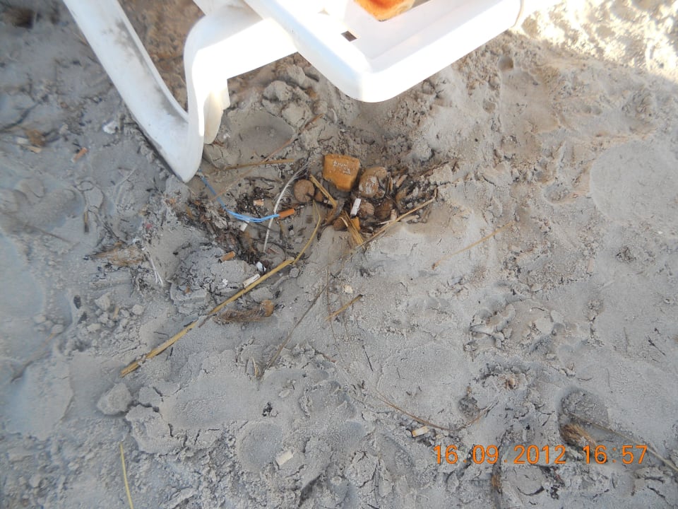 Zustand am Strand Nour Palace Resort & Thalasso