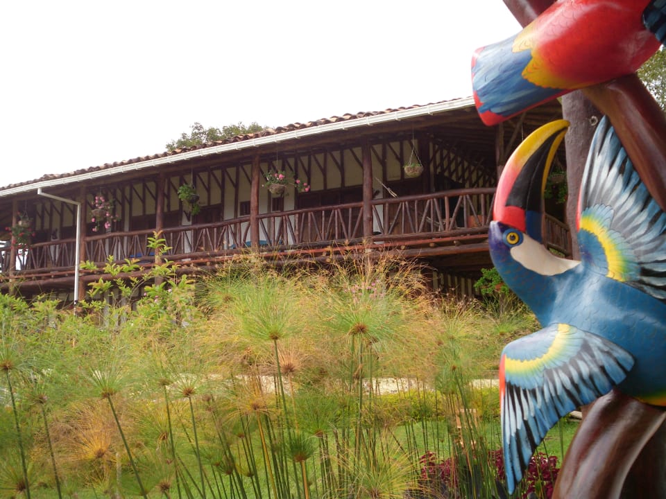 Ausblick von Zimmer Tucan Akawanka Lodge