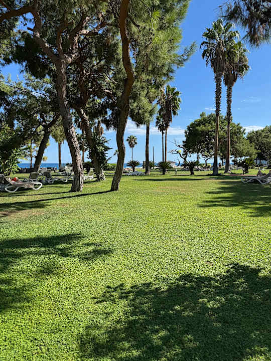 Gartenanlage TUI MAGIC LIFE Beldibi +16