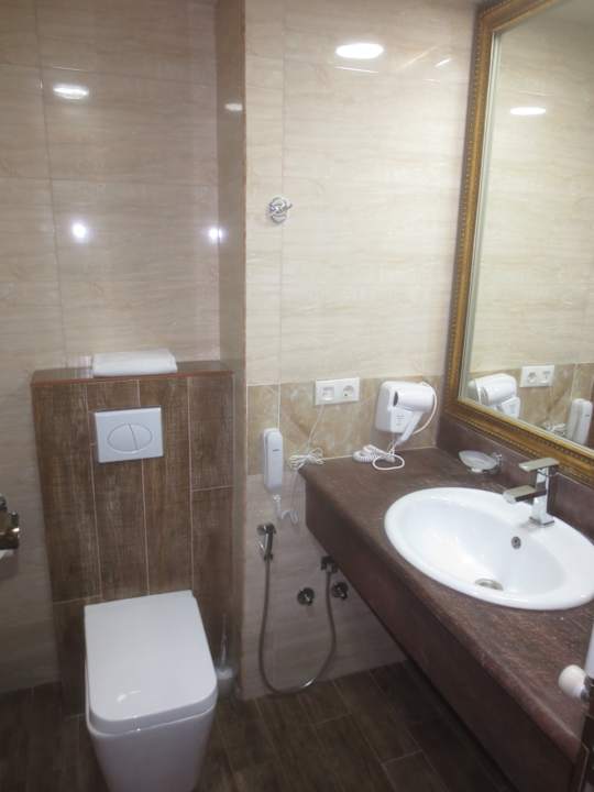 Zimmer Hotel & Spa Borjomi Palace