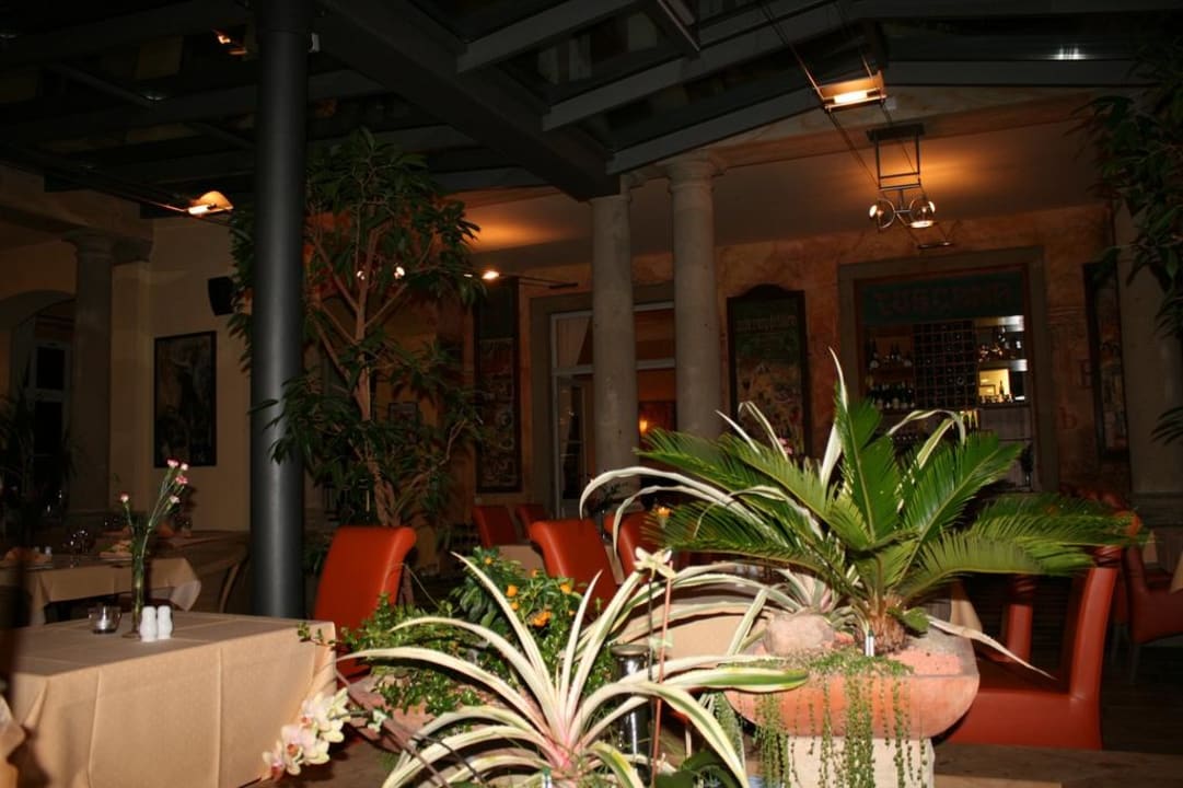 Wintergarten-Restaurant Parkhotel Bad Schandau