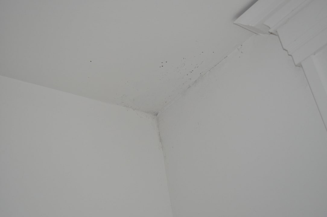 Die leicht Schimmelnde Ecke im Bad Hotel Parker Guest House