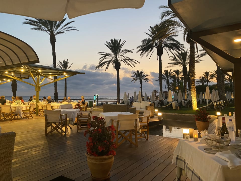 Gastro TUI BLUE Pioneer Beach