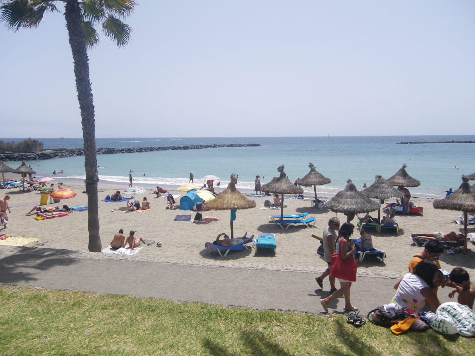 Wau Park Club Europe