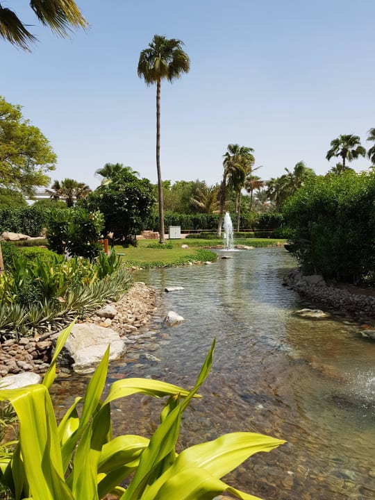 Garten Grand Hyatt Dubai