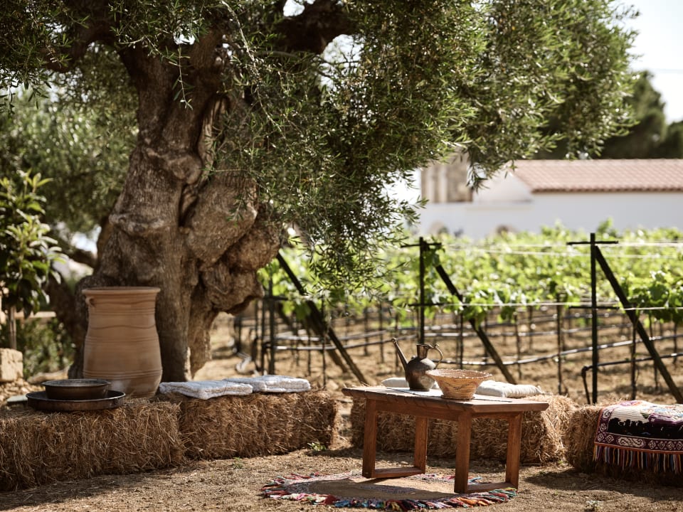 Gartenanlage Lesante Cape - The Leading Hotels of the World