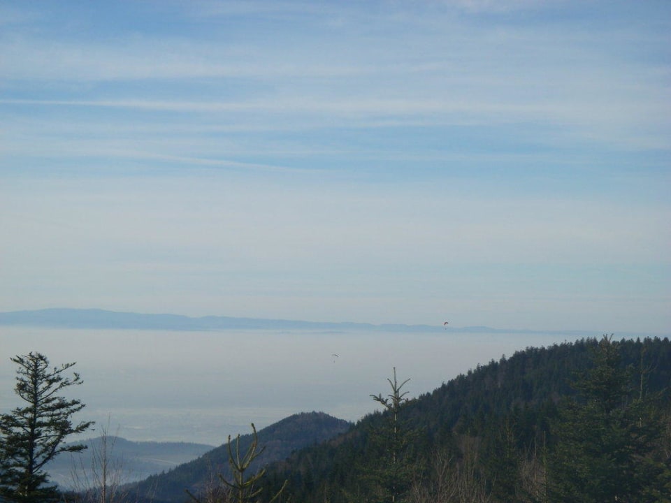 zum Rheintal Wellnesshotel Forsthaus Auerhahn