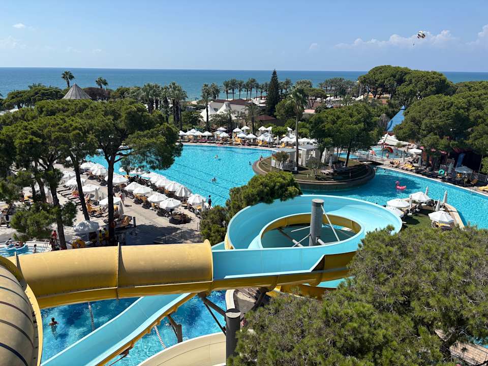 Pool Papillon Ayscha