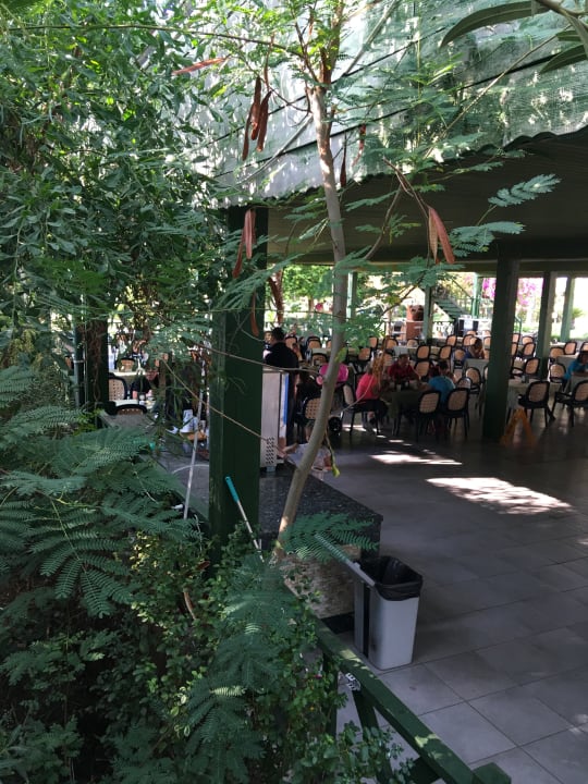 Gastro Selectum Family Comfort Side