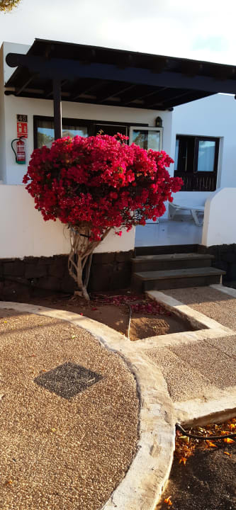 Ausblick Bungalows Playa Limones