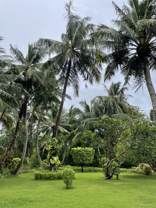 Gartenanlage Adaaran Select Meedhupparu Island Resort - Premium All Inclusive