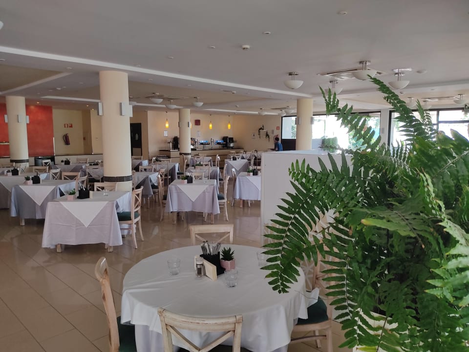 Gastro allsun App.-Hotel Albatros