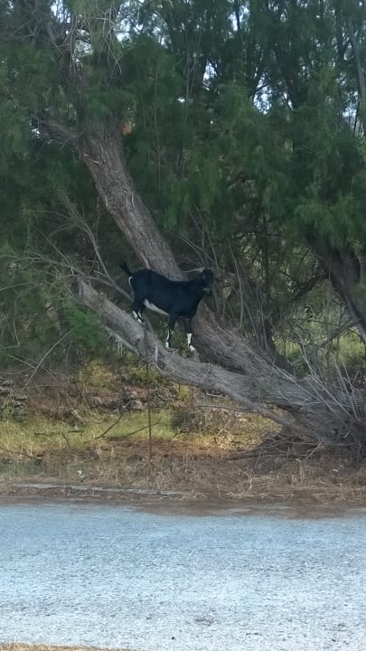 Sonstiges Lindos Mare, Seaside Hotel