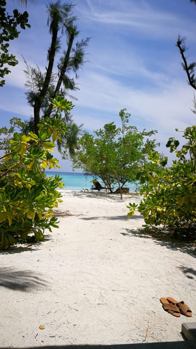 Ausblick Summer Island Maldives