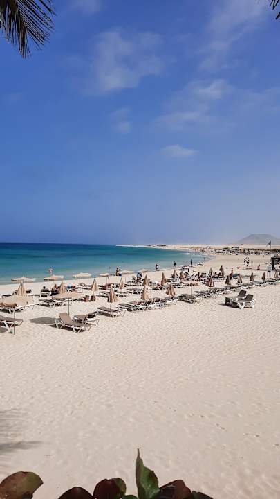 Ausblick Hotel Riu Palace Tres Islas