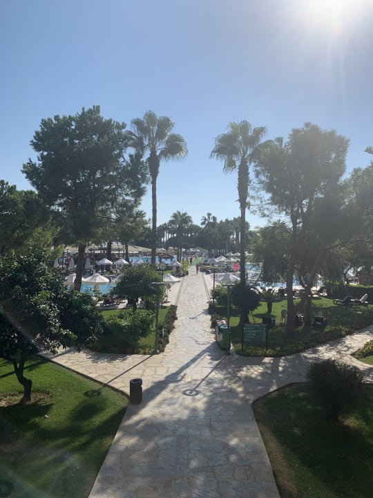 Gartenanlage Arum Barut Collection