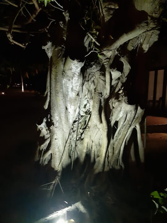 Garten Adaaran Select Hudhuran Fushi - Premium All Inclusive