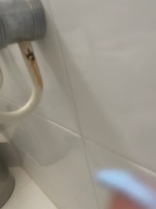 Zimmer Aquarius Apartments