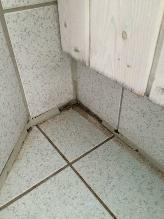 Dusche Ferienhausdorf Otterndorf