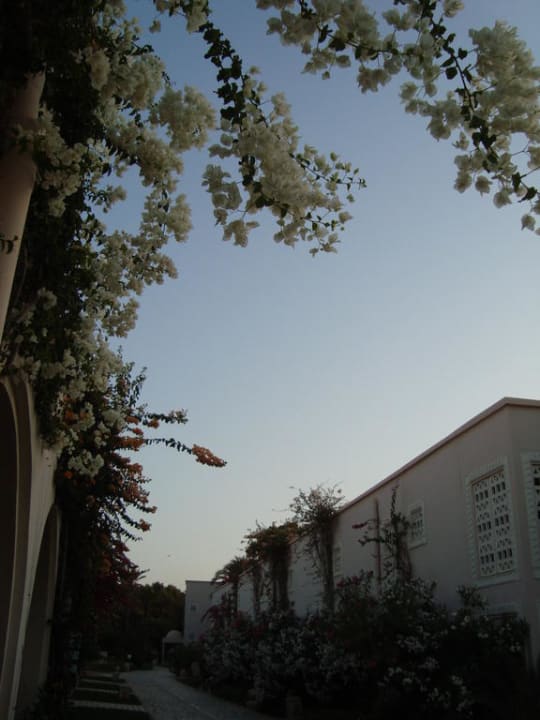 Doppelzimmertrakt  Zita Beach Resort