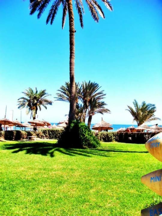 Vom Garten zum Strand  Hotel Eden Star