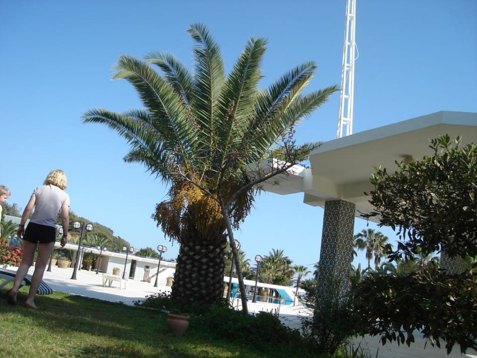 In der Gartenanlage Süral Saray Hotel