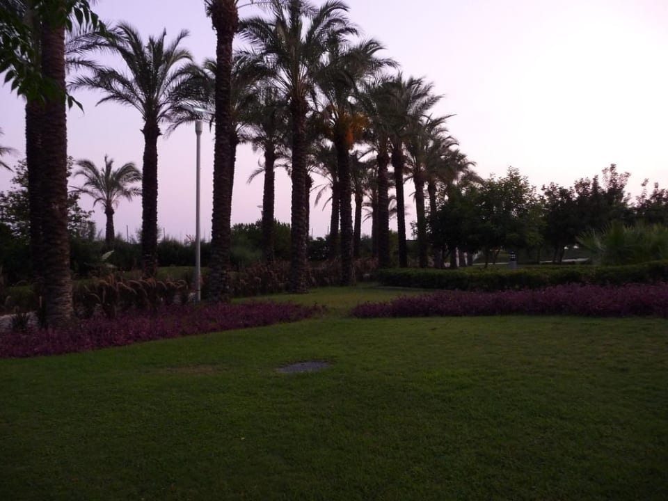 Gartenanlage AQI Pegasos World