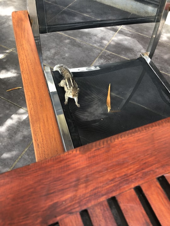 Gastro Mermaid Hotel & Club