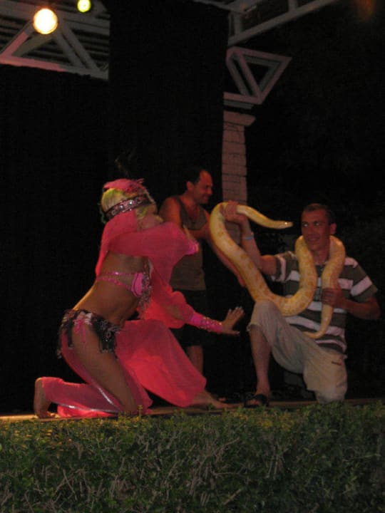 Schlangen-Animation mit Gast Trendy Side Beach Hotel - Adults only