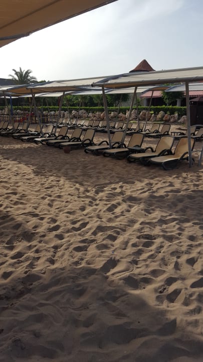 Strand Sherwood Exclusive Lara