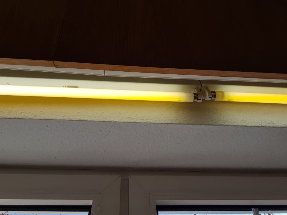 Niederspannungsröhre - kaltes Licht! Landhotel Altlandsberg