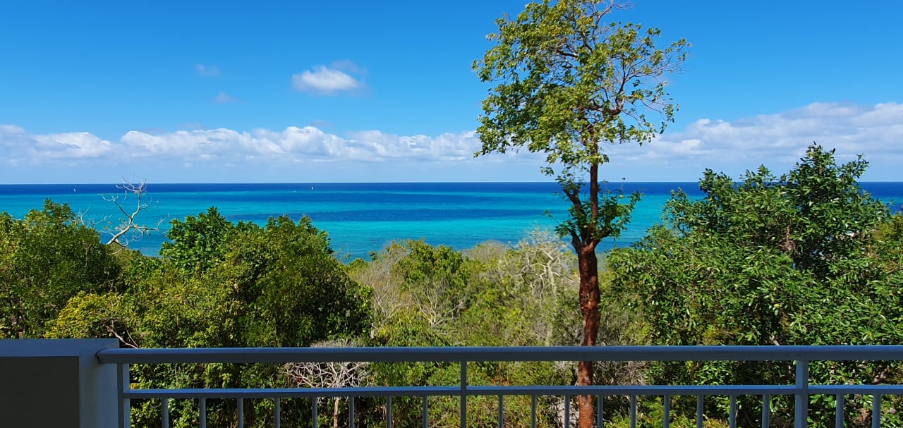 Ausblick Paradisus Rio de Oro Resort & Spa - Adults only