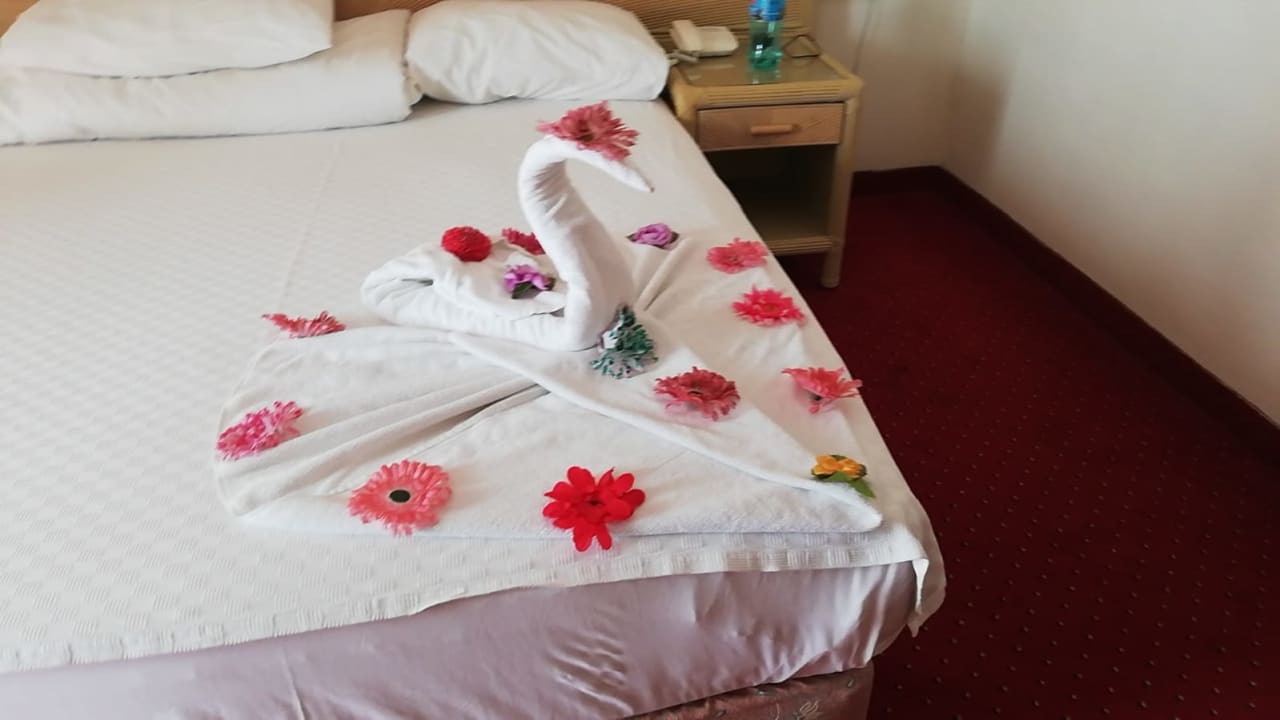 Zimmer Aska Hotel Just in Beach