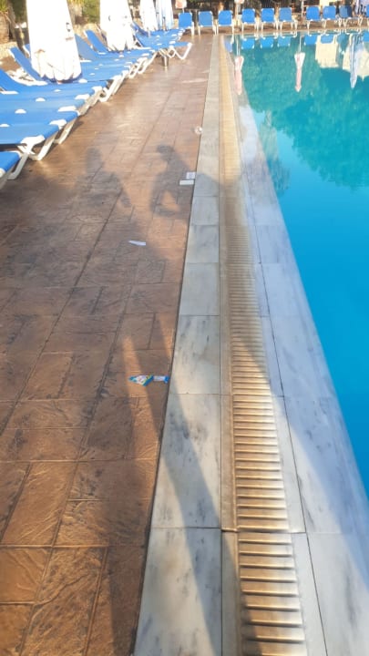 Pool Sprachcaffe International