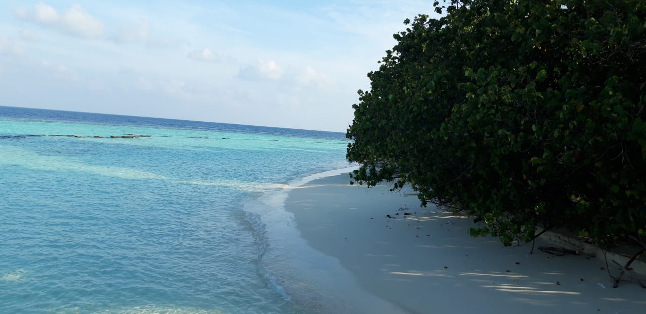 Strand Safari Island Maldives