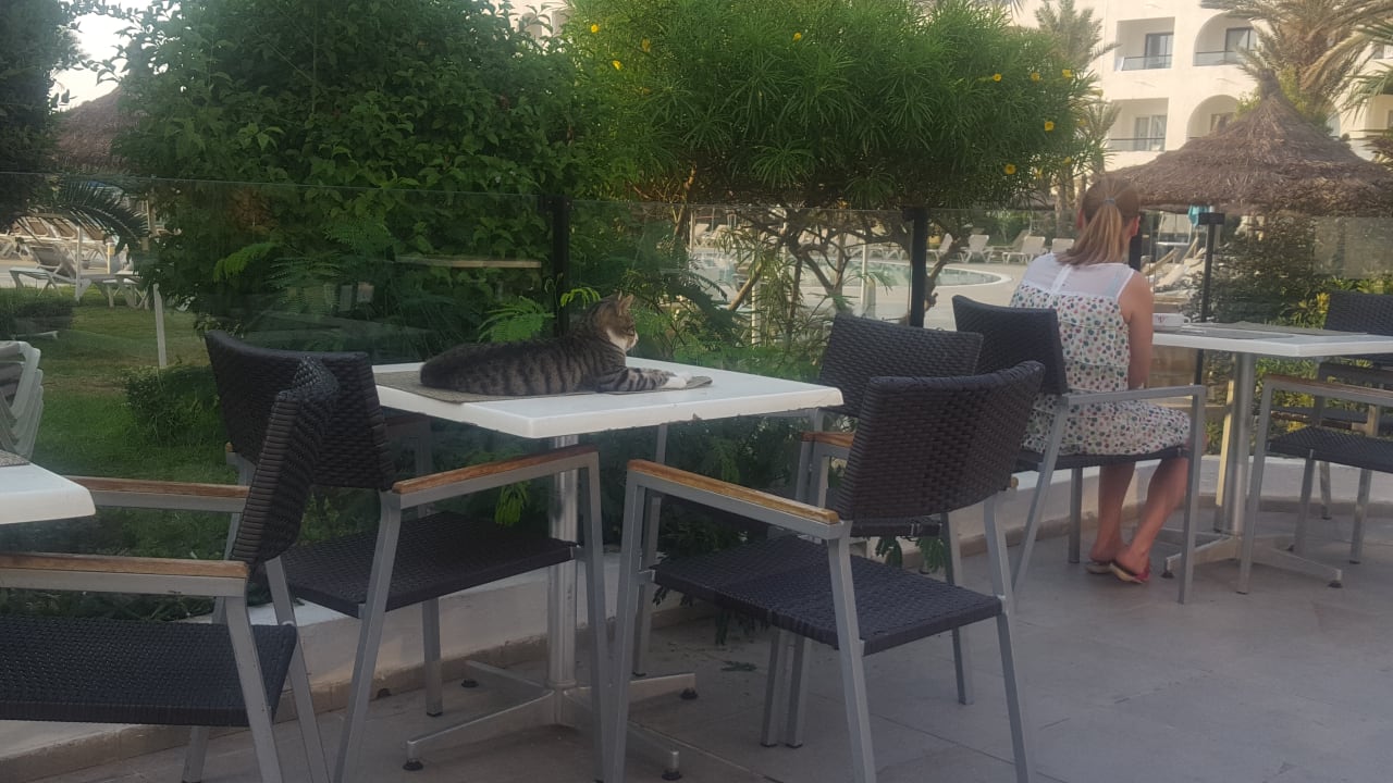 Restaurant Nozha Beach Resort & Spa