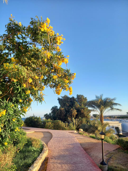 Gartenanlage Three Corners Equinox Beach Resort