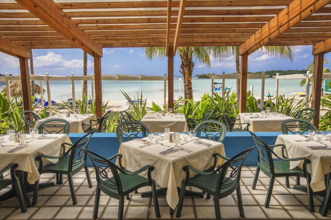 Gastro whala!boca chica