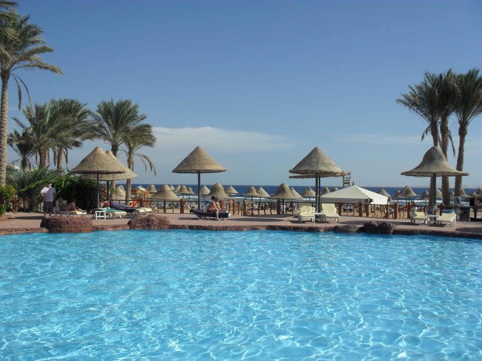 Basen Parrotel Beach Resort