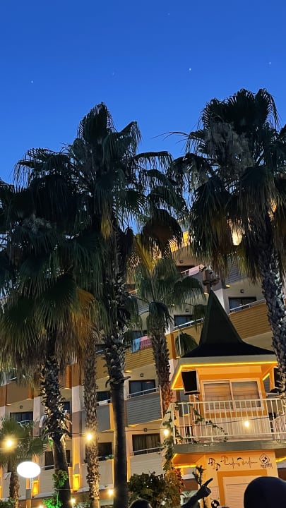 Gartenanlage Hane Family Resort