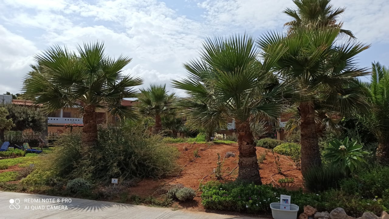 Gartenanlage Anissa Beach & Village