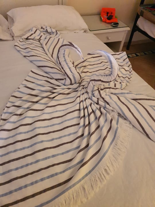 Zimmer Hotel Marhaba Club