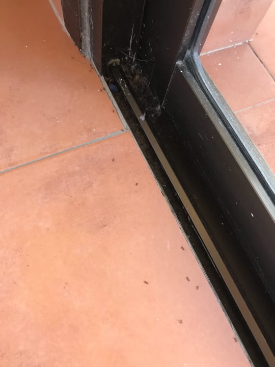 Zimmer Occidental Jandía Mar