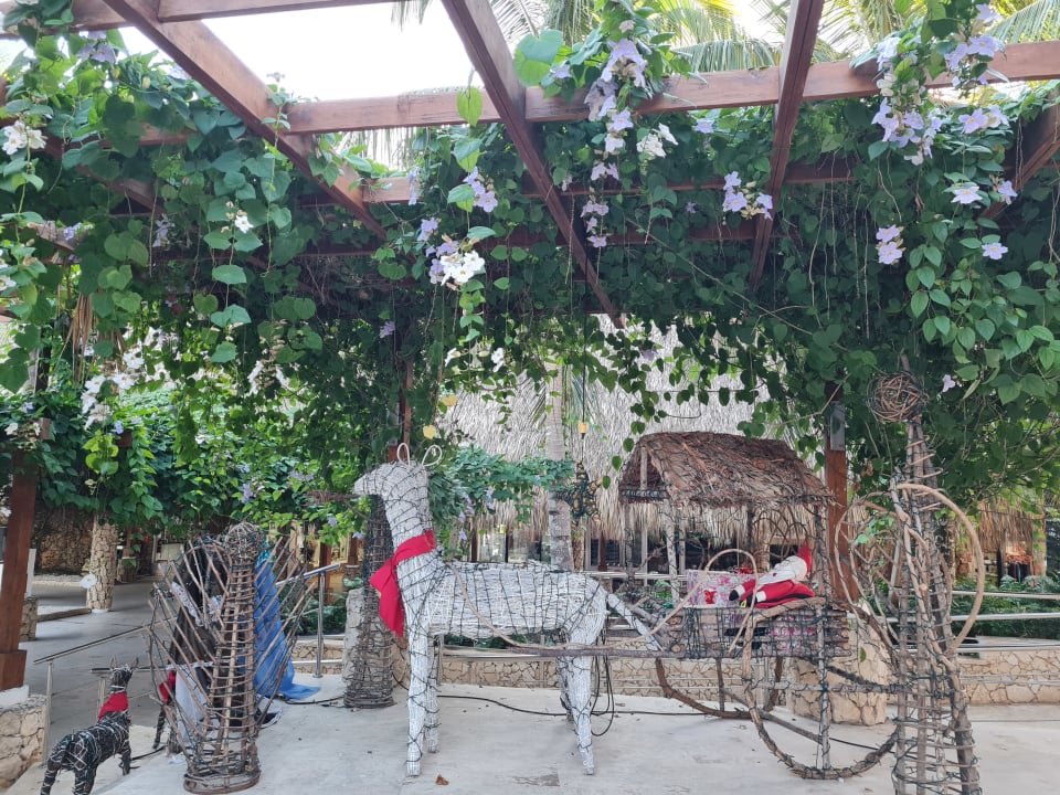 Sonstiges Hotel Viva Dominicus Beach by Wyndham - All Inclusive Resort