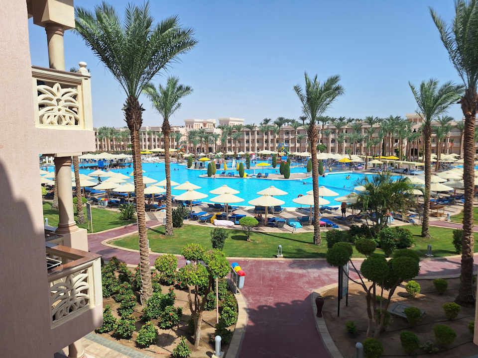 Pool Pickalbatros Palace Resort