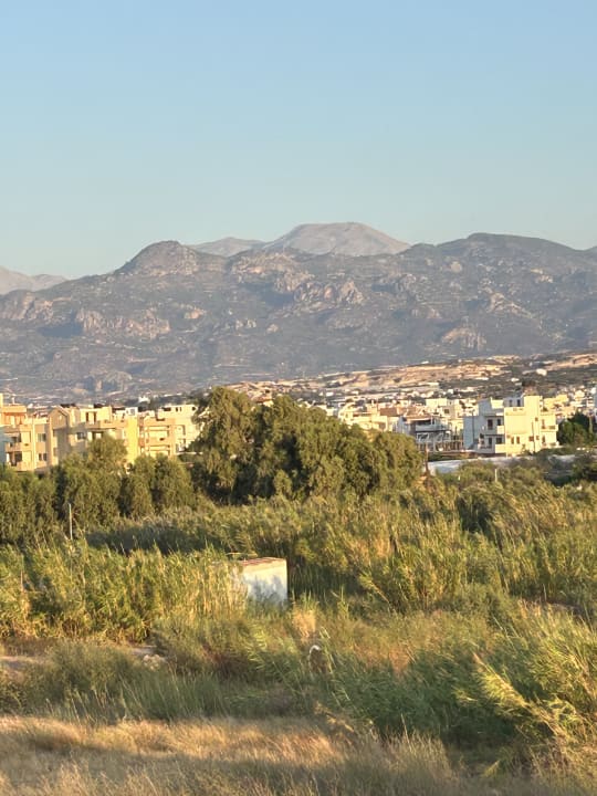 Ausblick Tylissos Beach Hotel