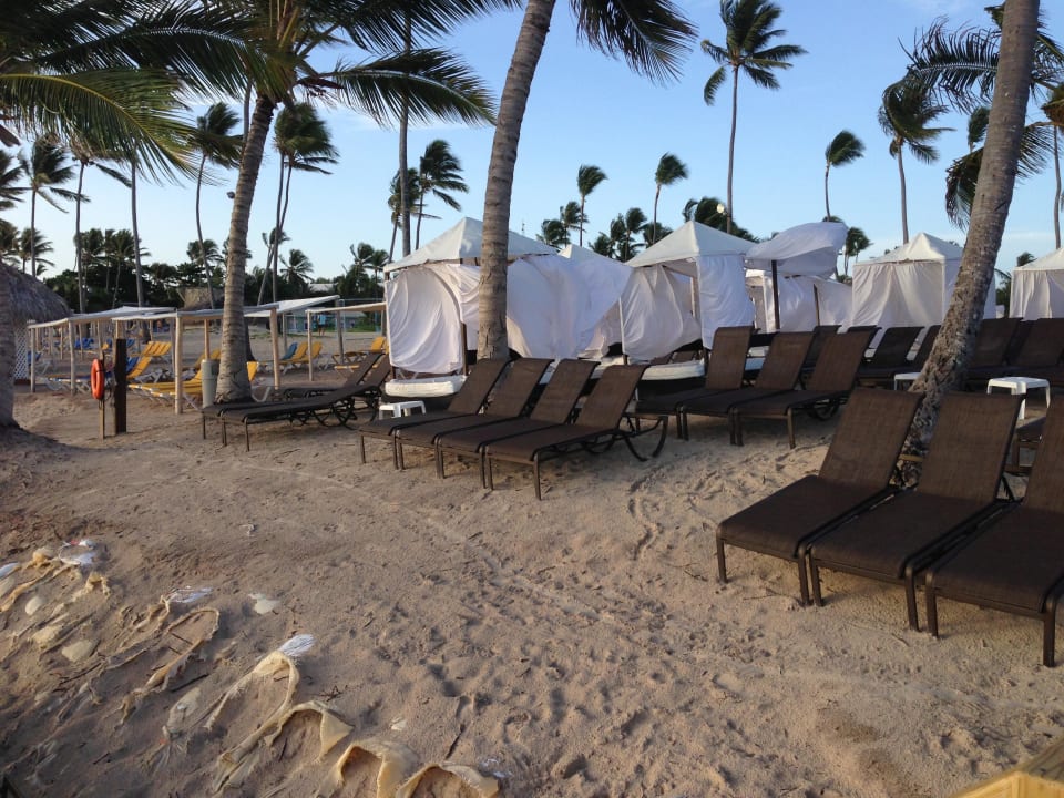 Liegen Ocean Blue & Sand