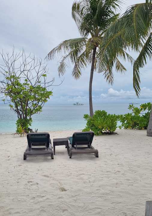 Außenansicht Kuredu Island Resort & Spa