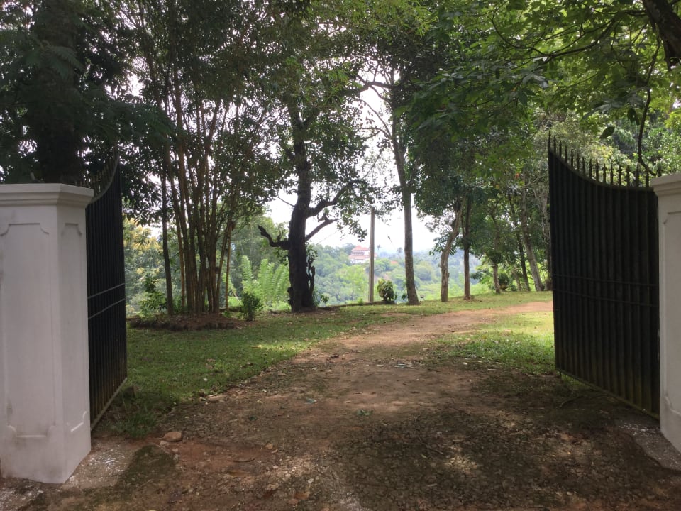 Ausblick Captain's Lodge